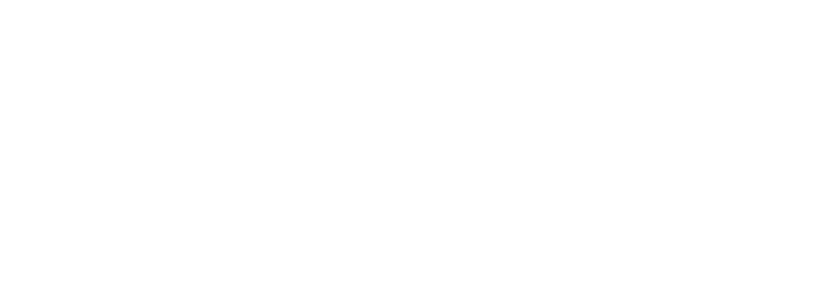 InfoPeak logo - white